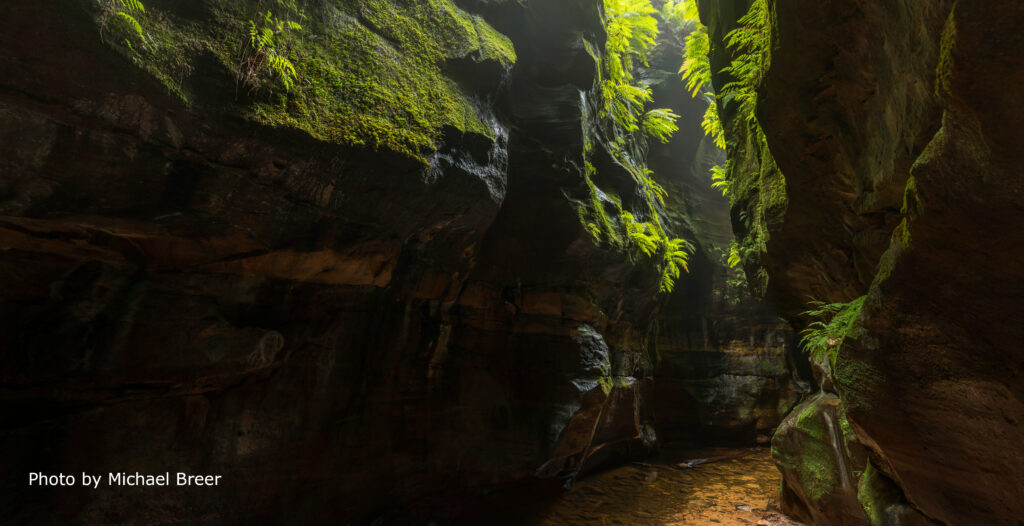 Claustral Canyon walls photographed by Michael Breer will be turned to Virtual Reality experience