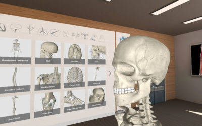 Skull as made by 3D Organon Medical Education Software