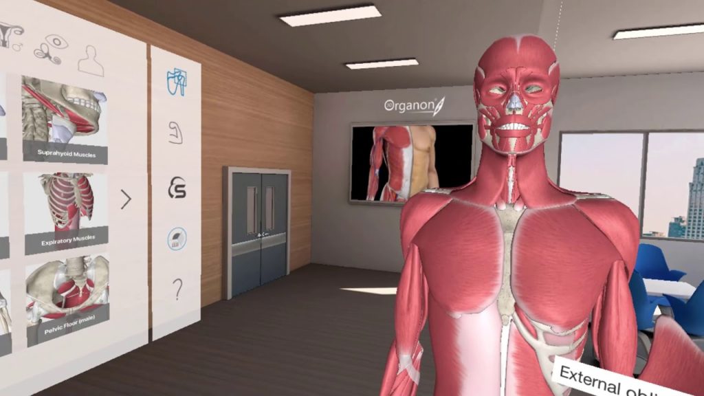 3D Organon medical education VR software - classroom option for teaching