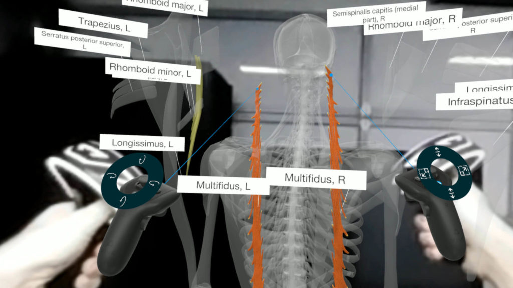 3D Organon medical education software demonstration in VR 
